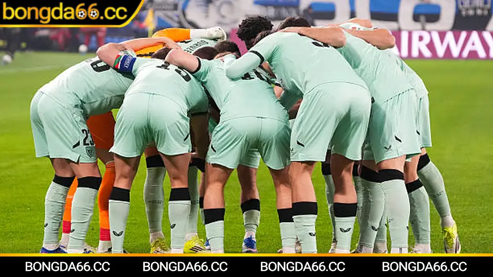 Phân tích kèo khi trực tiếp bóng đá Việt Nam V.League theo dữ liệu