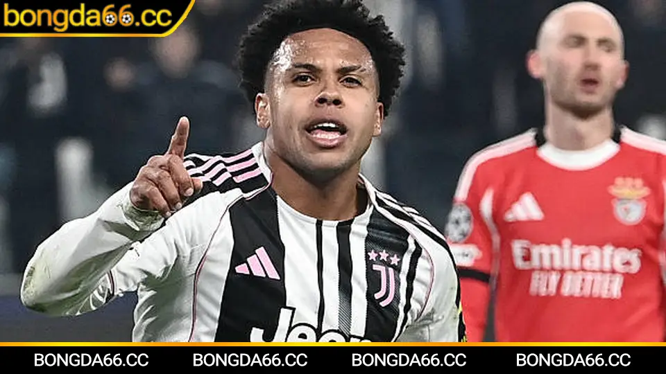 Phân tích kèo vòng loại giải vô địch bóng đá thế giới 2026 theo dữ liệu