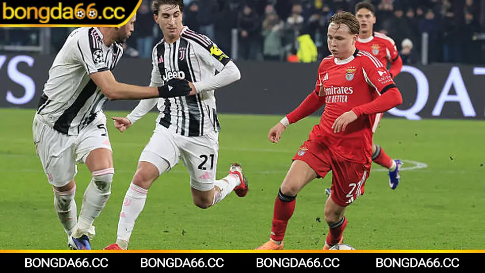 Phân tích kết quả bóng đá hôm nay theo kèo châu Á và tài xỉu