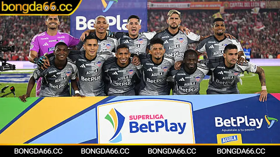 PSV Eindhoven dự đoán trận đấu, theo dõi biến động kèo trên bongda66