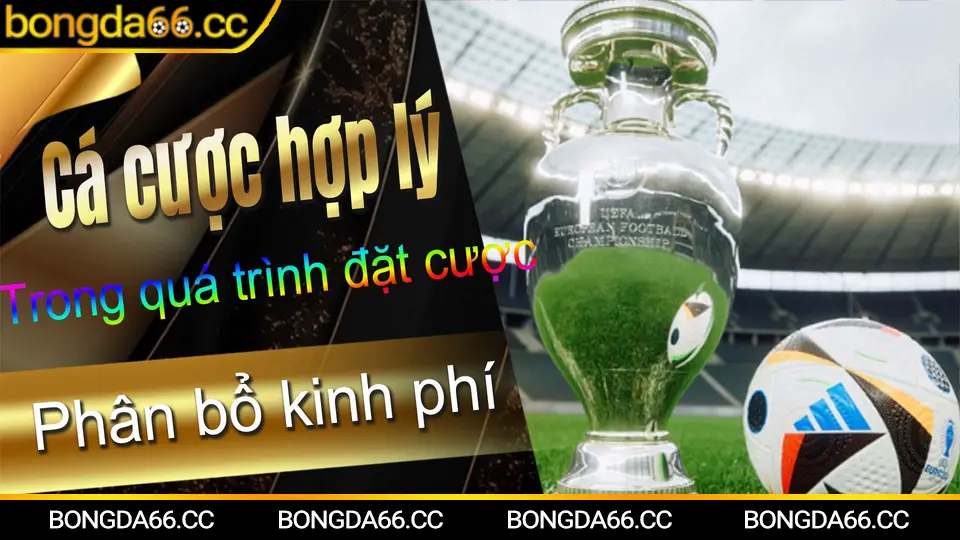 Soi kèo Bayer Leverkusen trên bongda66 với dữ liệu phong độ 2026