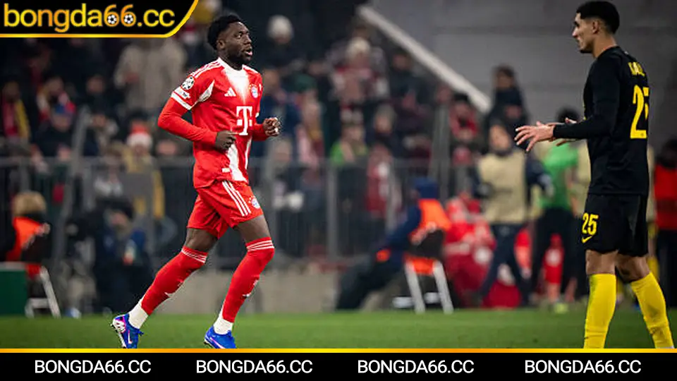 Soi kèo Benfica bằng bảng xếp hạng bóng đá và lịch đấu trên bongda66