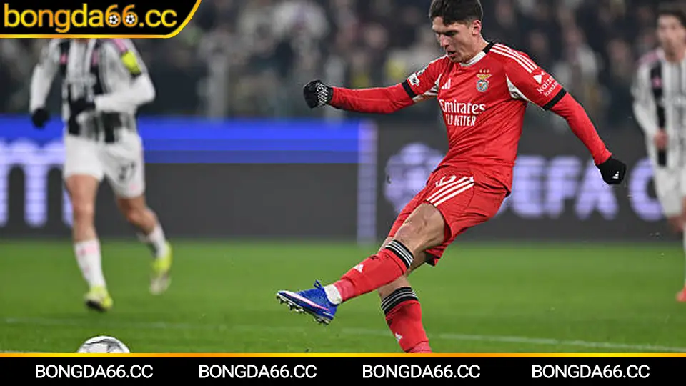 Soi kèo bóng đá hôm nay: đọc kèo châu Á và tài xỉu theo dữ liệu