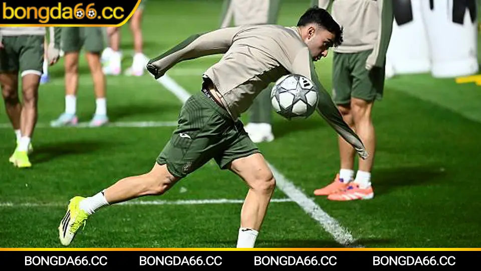 Soi kèo đá bóng an toàn tại bongda66 với phân tích phong độ và dữ liệu