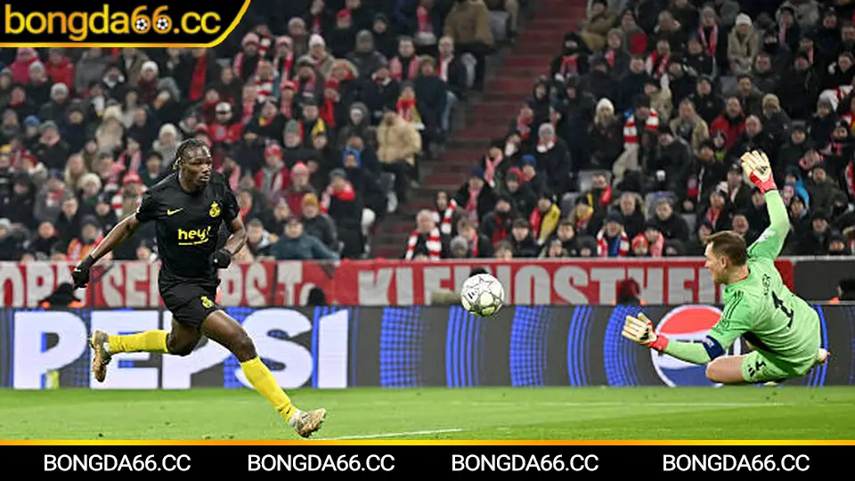 Soi kèo TopenLand Bình Định trên bongda66 với dữ liệu V-League