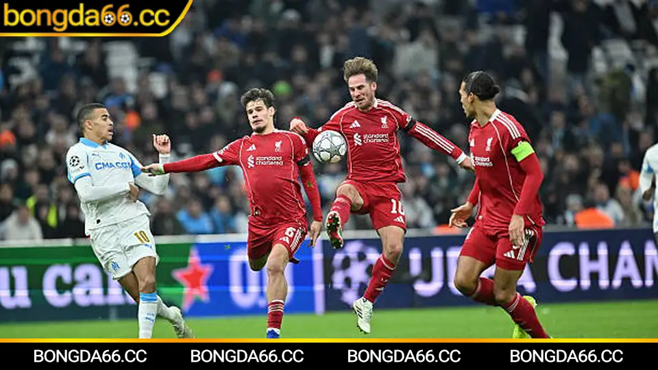 Soi kèo Zenit trên bongda66 với lịch thi đấu và dự đoán 2026