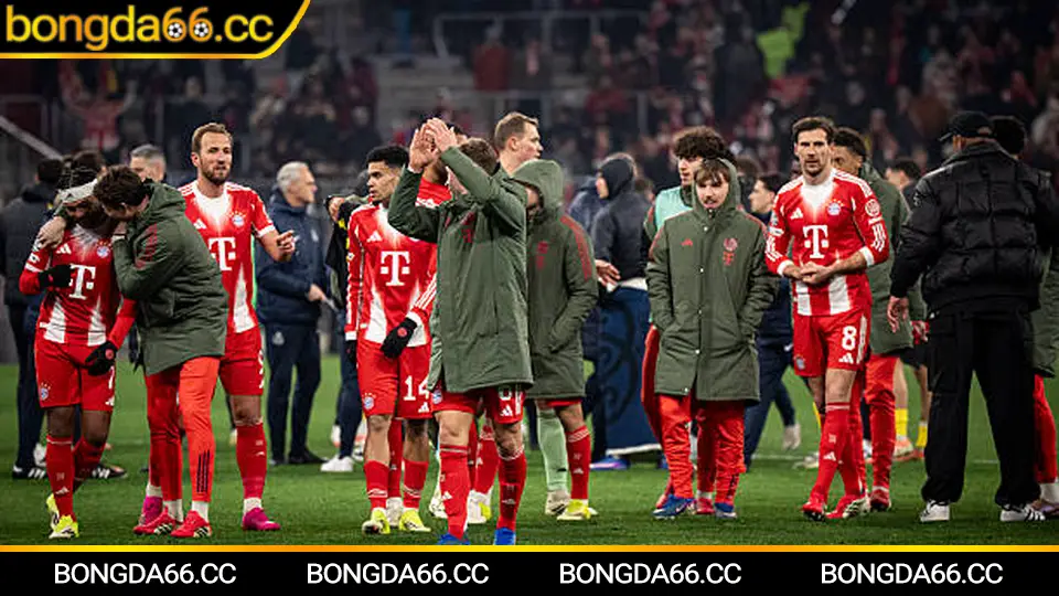 Thép Xanh Nam Định: Bản lĩnh “chảo lửa” Thiên Trường, tham vọng đường dài và góc nhìn kèo đáng tin trên bongda66