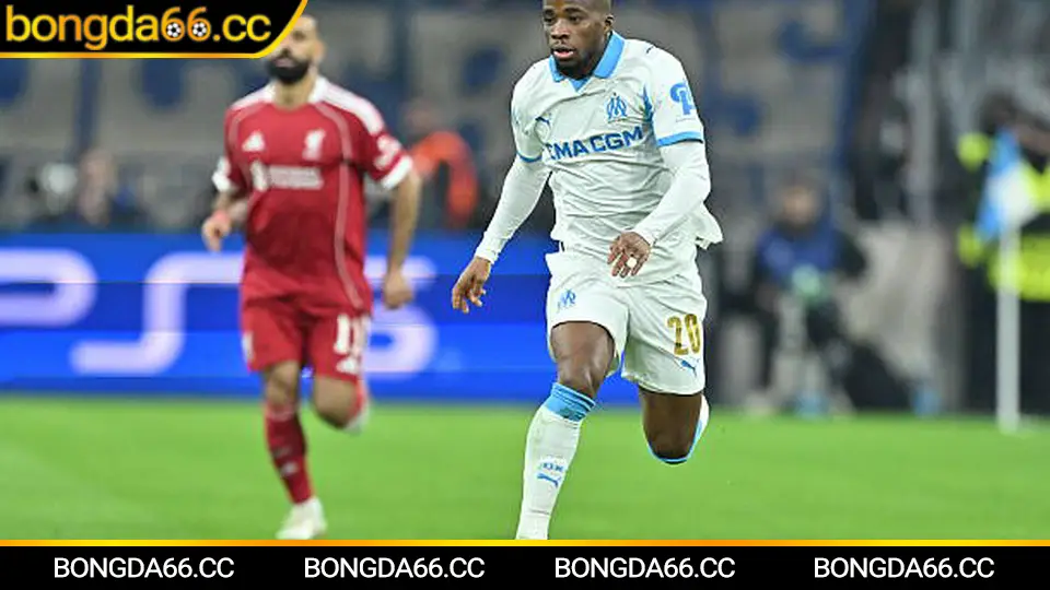 TopenLand Bình Định: Bản sắc đất Võ, tham vọng V-League và góc nhìn soi kèo thực chiến