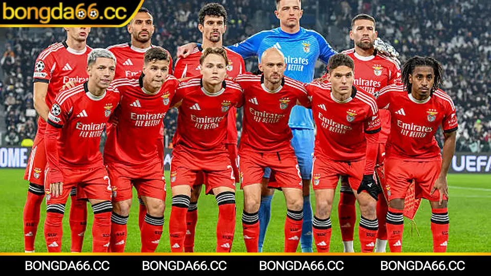 Biểu đồ tỷ lệ kèo tv biến động trước giờ bóng lăn 2026