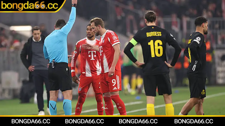 Tỷ số bóng đá hôm nay từ các giải đấu châu Âu và châu Á ngày 29/1/2026