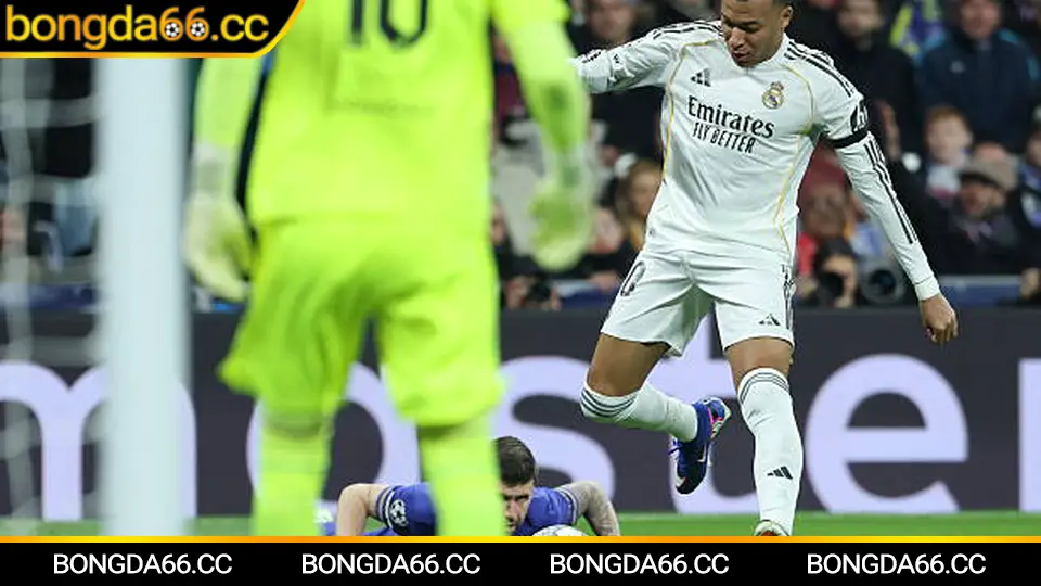 Lịch thi đấu V-League 2026 trong lịch đá bóng Việt Nam hôm nay 29/1/2026 với các trận đấu hấp dẫn