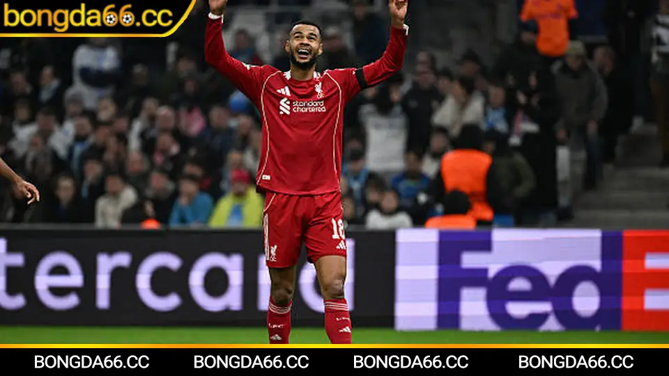 Dự đoán các trận đá bóng World Cup 2026 với đội tuyển mạnh như Pháp và Argentina dẫn đầu