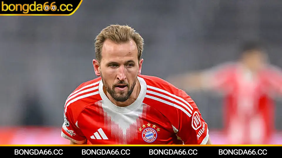 Xem bóng đá La Liga kèm phân tích lịch đấu và thứ hạng của La Liga