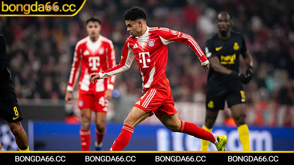 Xem trực tiếp bóng đá hôm nay với các trận đấu Premier League hấp dẫn trên Bongda66