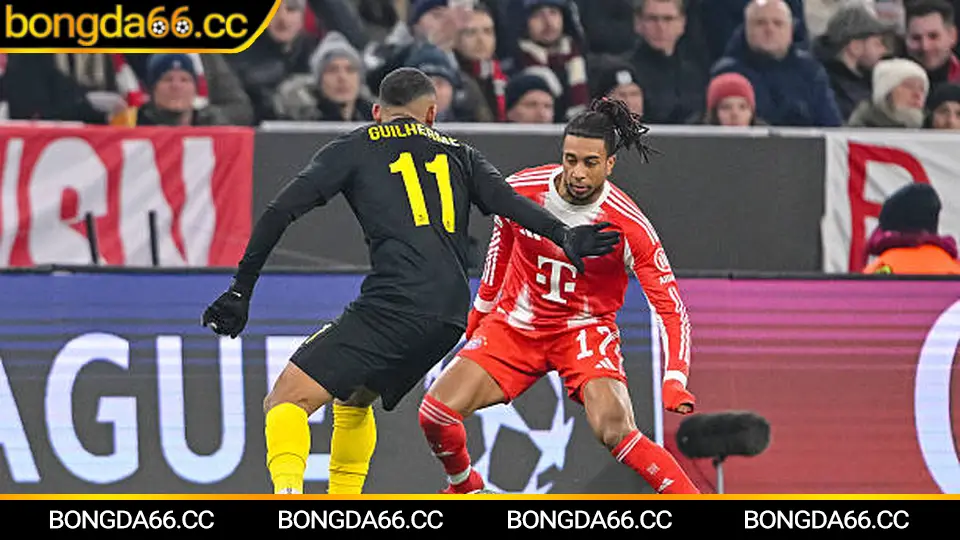 Bayern Munich áp đặt thế trận, dữ liệu kèo nhà cái Bundesliga