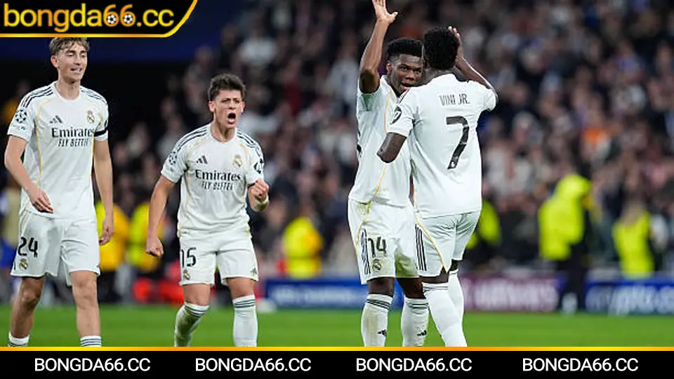 Mẹo đọc tỷ lệ cá cược bóng đá kèo châu Á và tài xỉu chuẩn 2026