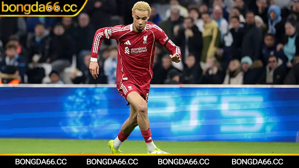 Nhận định kèo nhà cái theo bảng xếp hạng bóng đá mùa 2025/26