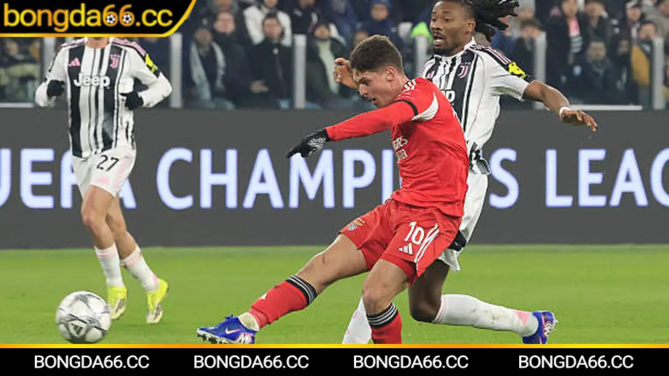 Tỷ lệ cá cược bóng đá biến động trước giờ lăn bóng, kèo châu Á