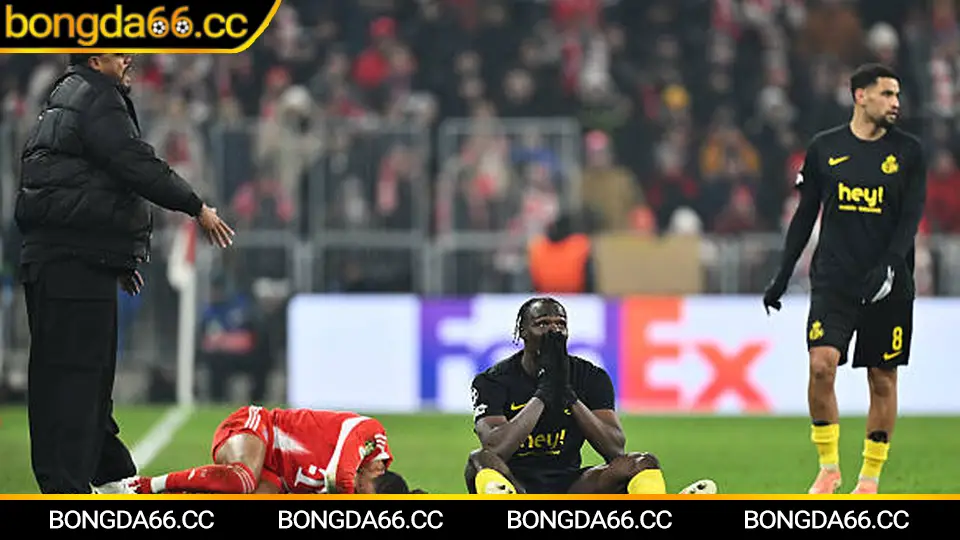 Dự đoán xu hướng bóng đá tỷ lệ cho World Cup 2026 và các giải đấu lớn khác