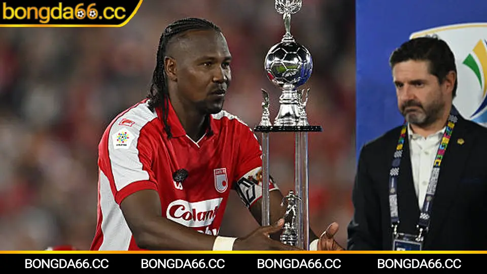 Dự đoán kèo nhà cái hôm nay cho các giải đấu châu Á và châu Âu với xu hướng tài xỉu và handicap