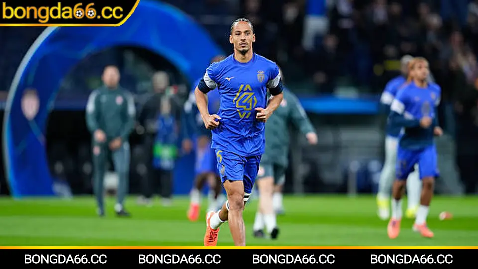 Biểu đồ thống kê dữ liệu bóng đá số từ các giải đấu lớn năm 2026