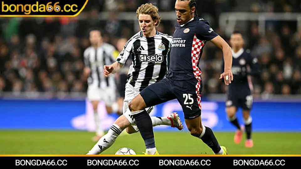 Phân tích lịch sử bóng đá tỷ lệ từ World Cup 2002 đến xu hướng cá cược 2026