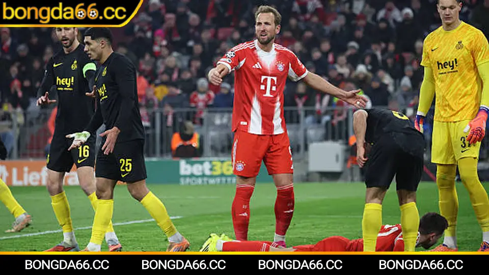 Lịch sử huy hoàng của giải vô địch bóng đá ASEAN qua các mùa giải