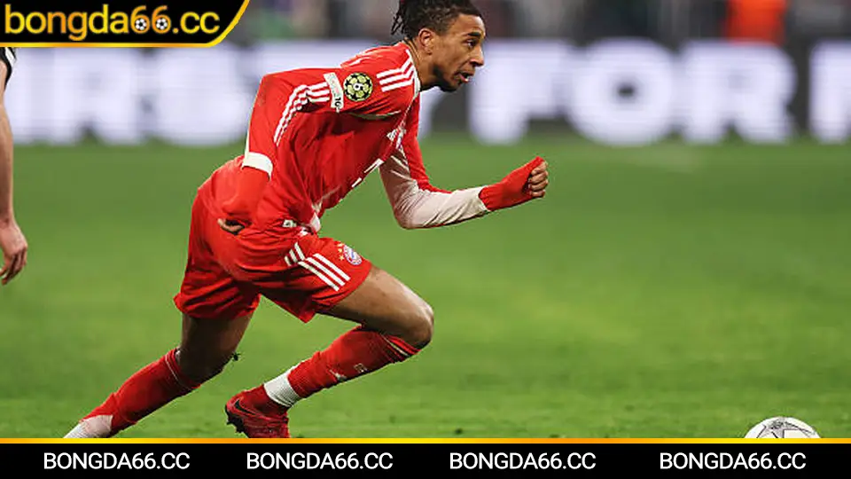 PSG dẫn đầu bảng thứ hạng Ligue 1 2026 với chuỗi thắng ấn tượng và phân tích chiến thuật