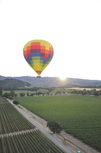 Napa Valley Balloons and Vineyards - Wineries in Napa