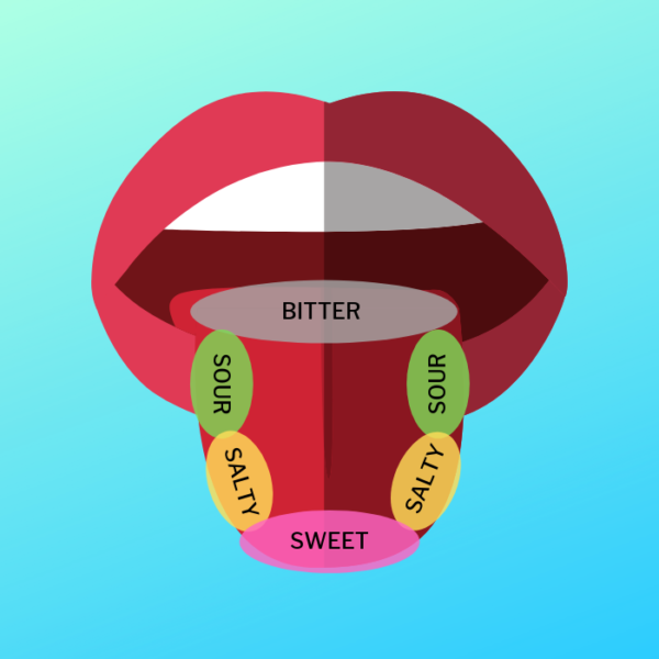 How your tongue tastes when wine tasting