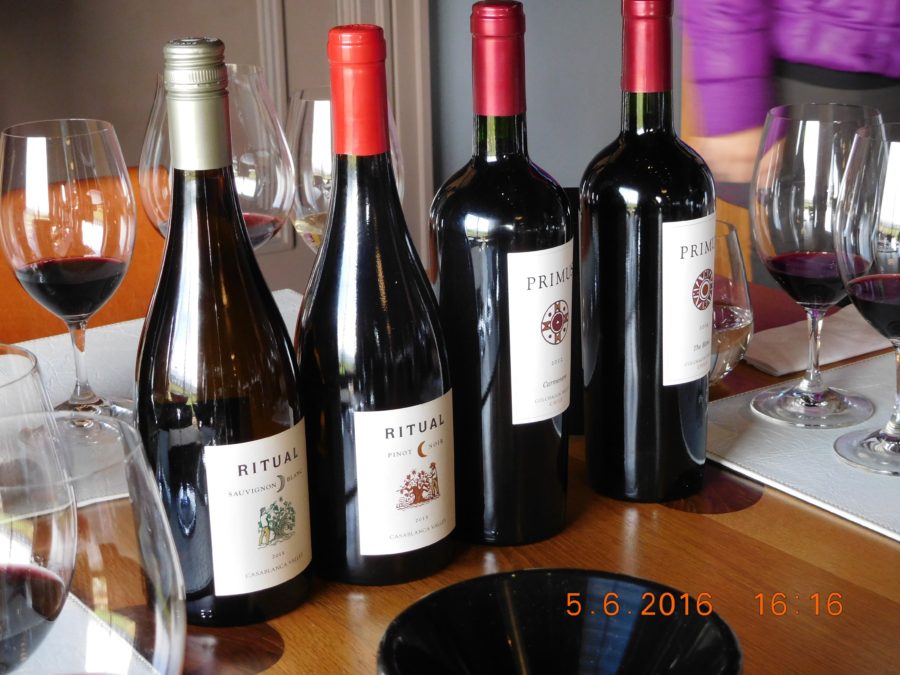 Wine Tasting in Chile