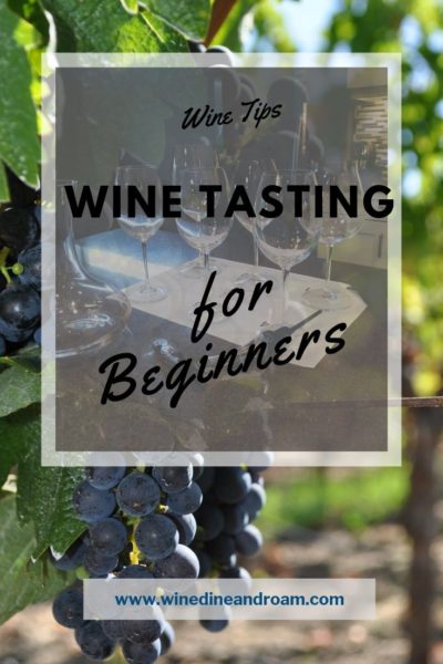 Wine Tasting for Beginners Pin