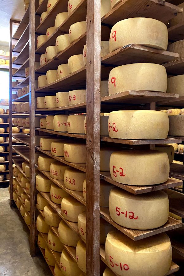 Matos cheese aging from the California Cheese Trail: Sonoma Loop 2