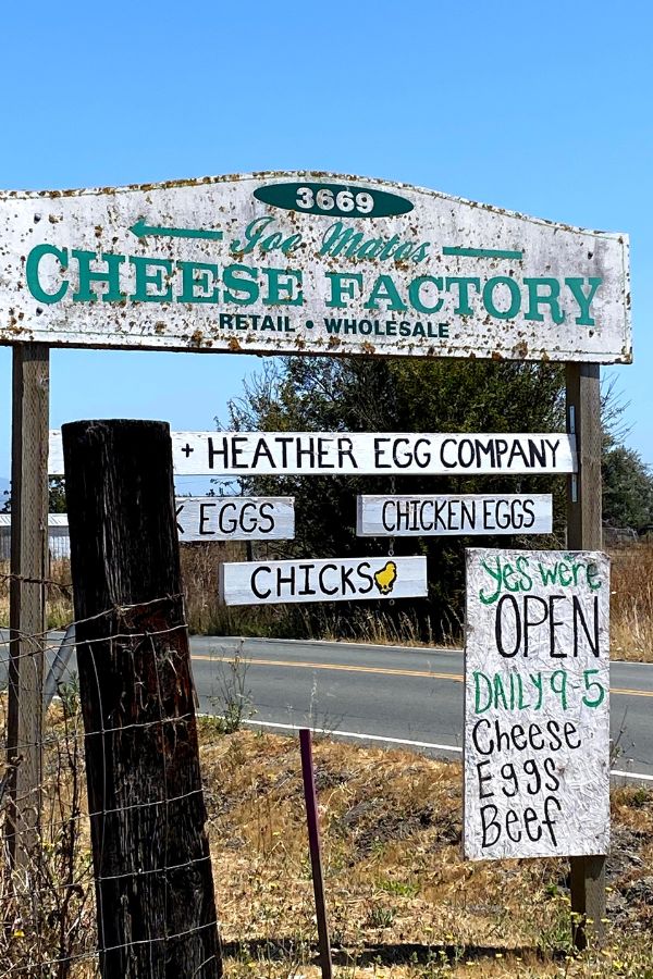 Matos Cheese Factory Sign